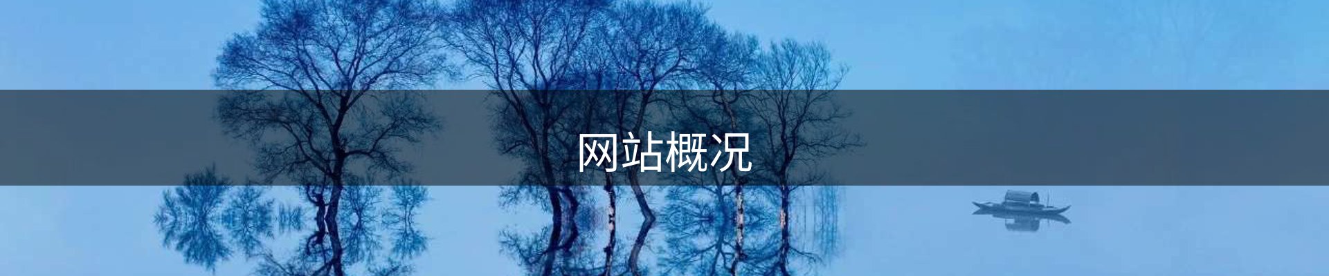 网站概况